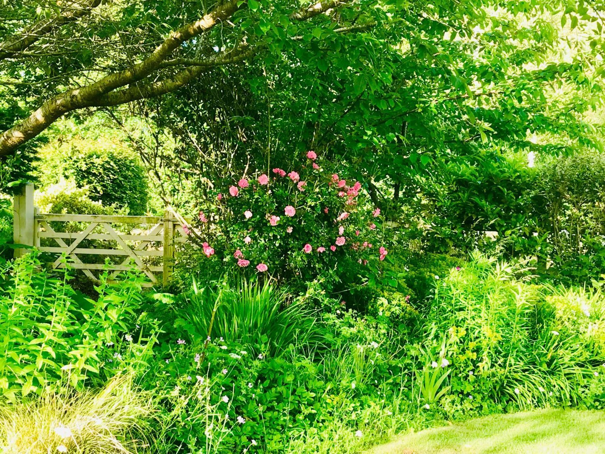 Octon Cottages Taunton Exteriör bild